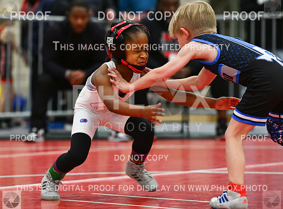 DLS_2296