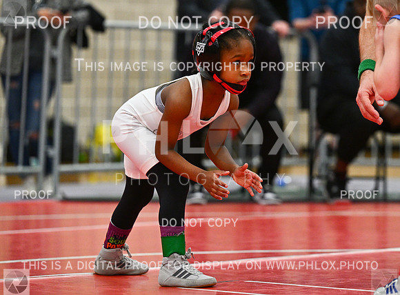 DLS_2295