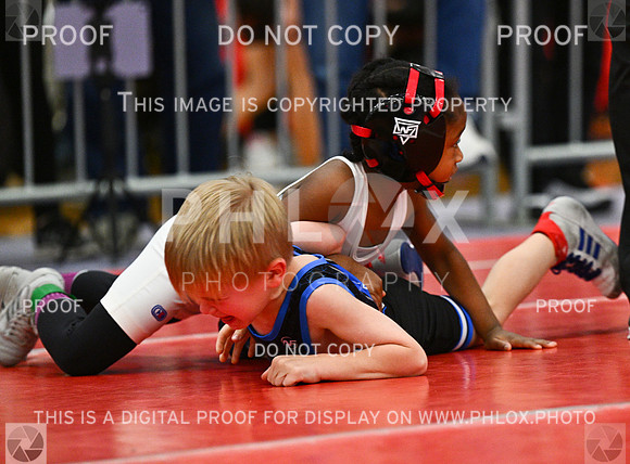 DLS_2294