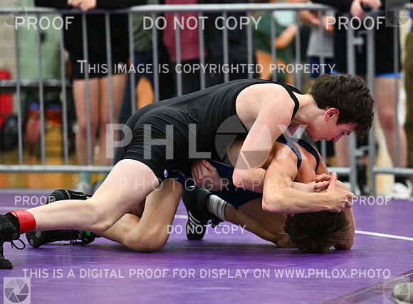 DLS_3368