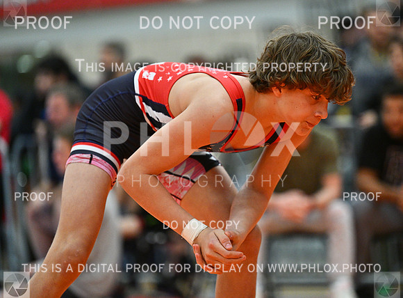 DLS_2953