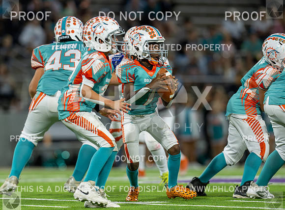 4pm Jv-Bears (V) vs Dolphins (H)-157
