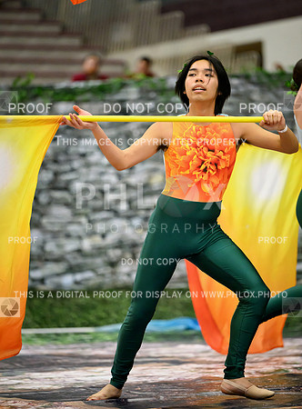 PSZ_02905