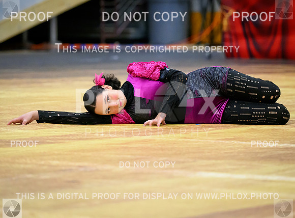 PSZ_06988