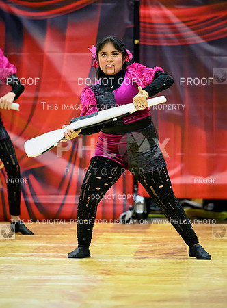 PSZ_07032