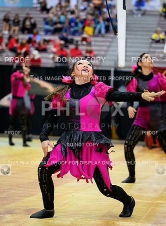 PSZ_07165