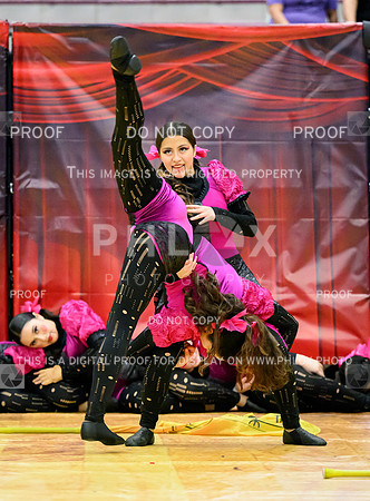 PSZ_07225
