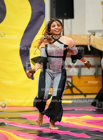 PSZ_12028