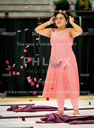 PSZ_02585