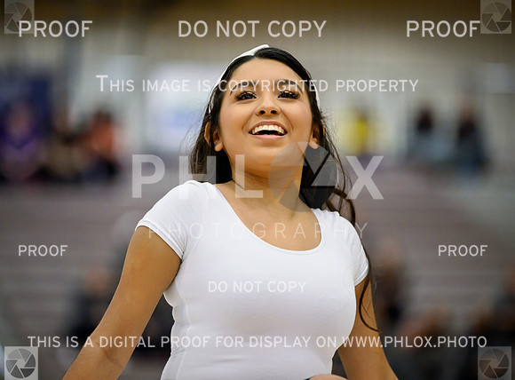 PSZ_03042
