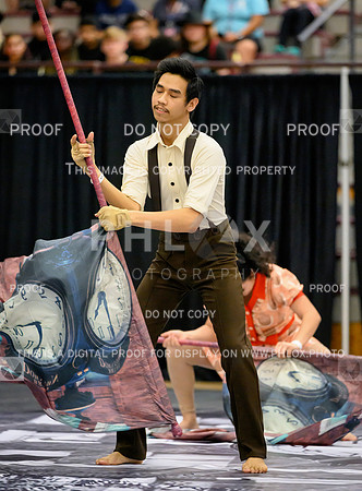 PSZ_08285