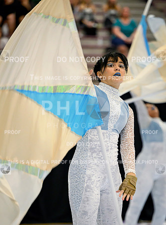 PSZ_16520