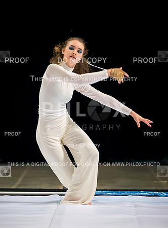 PSZ_09643