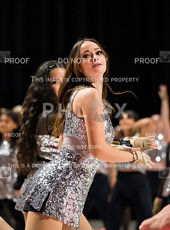 PSZ_08503