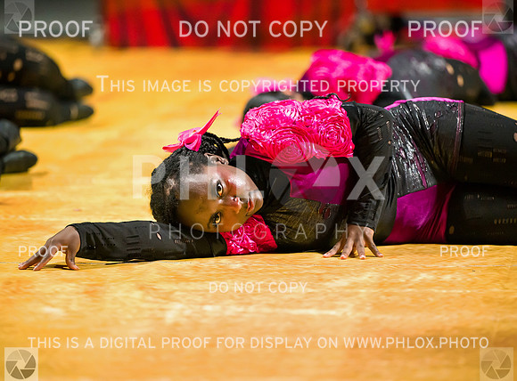 PSZ_09053