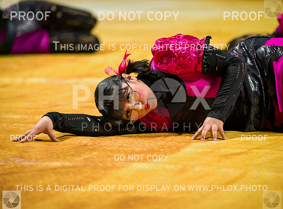 PSZ_09056