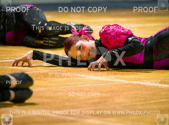 PSZ_09061
