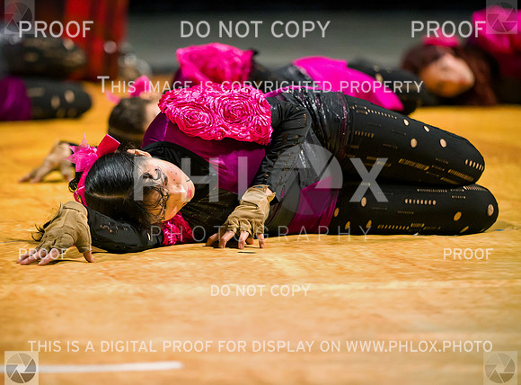 PSZ_09067