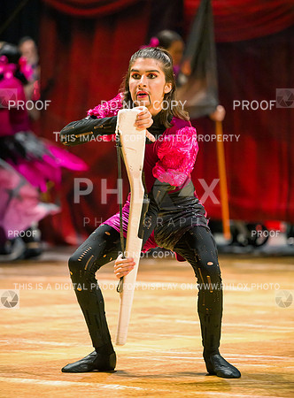 PSZ_09430