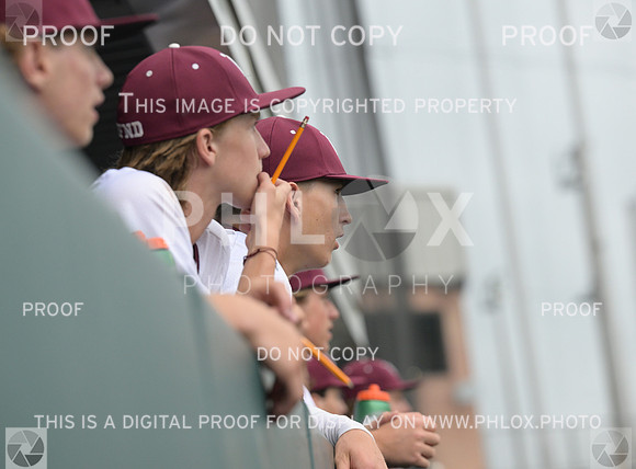 DLS_7894