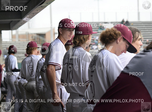 DLS_8023