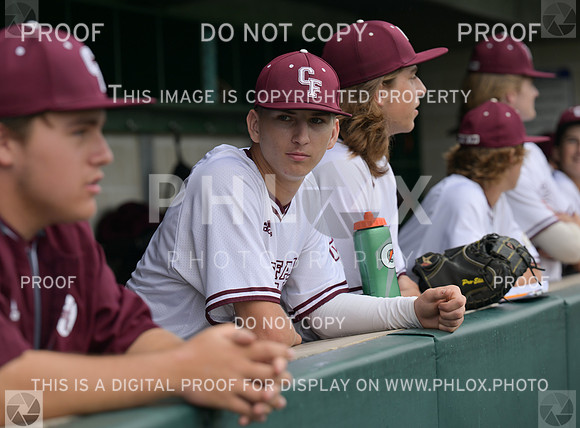 DLS_7332