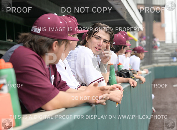 DLS_8022