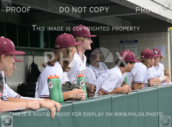 DLS_8006