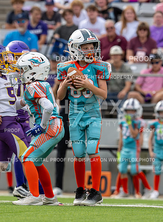 12pm Freshman -Vikings (V) vs Dolphins (H)-176