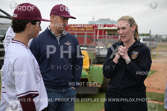 DLS_8198