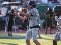 Dawgs football (JV) (14 of 95)