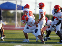Dawgs football (Varsity) (3)