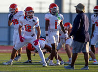 Dawgs football (Varsity) (14)