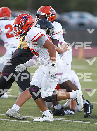 Dawgs football (Varsity) (141)