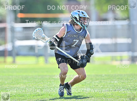 DLS_9417