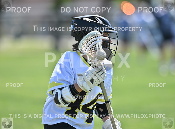 DLS_9212
