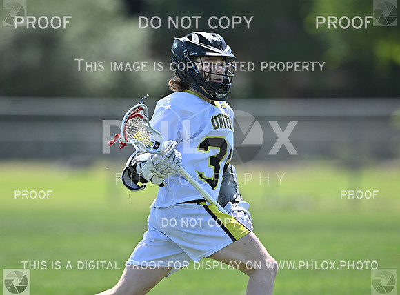 DLS_9061