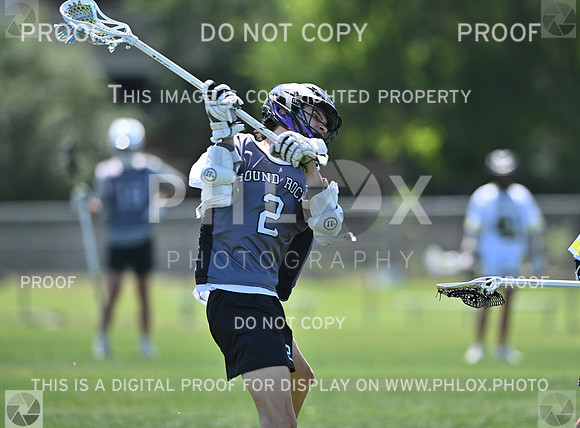DLS_8743