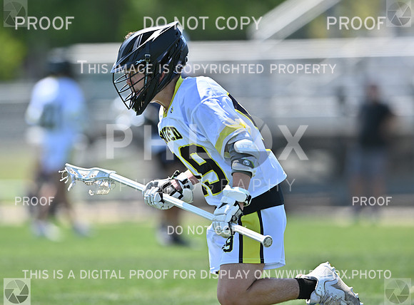 DLS_8671
