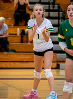 Westlake vs Moorpark Girls JV High School Volleyball-0030