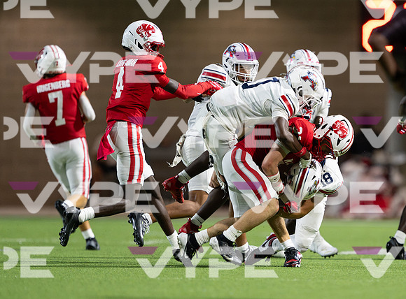 DLS_7022