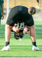 2026-8-28 A&M Consolidated (TX) @ Cedar Park (TX) - Boys - Varsity - Football