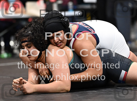 DLS_3185