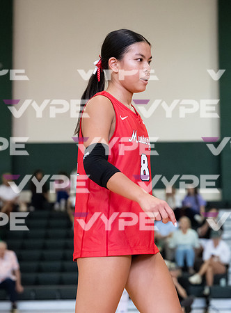 DLS_7706