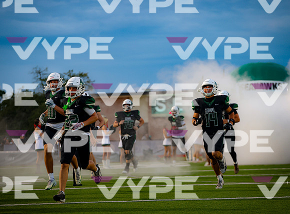0087vsFSHS