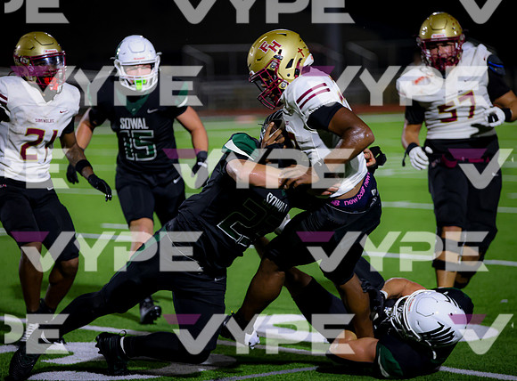 0179vsFSHS