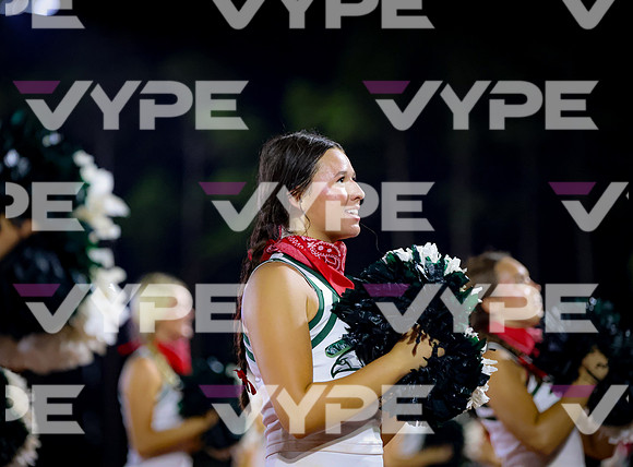 0193vsFSHS