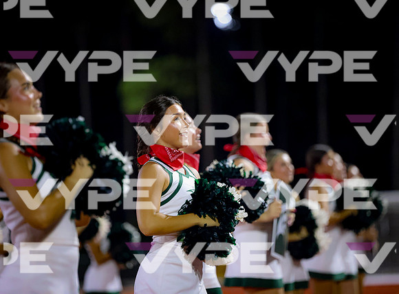0196vsFSHS