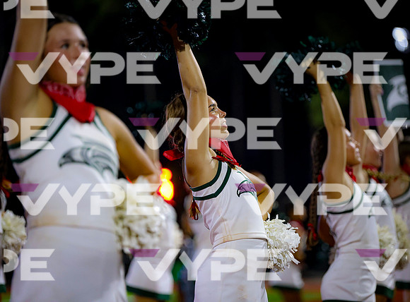 0194vsFSHS