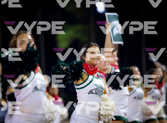 0197vsFSHS